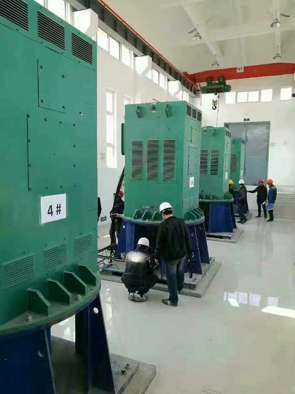惠城某污水处理厂使用我厂的立式高压电机安装现场