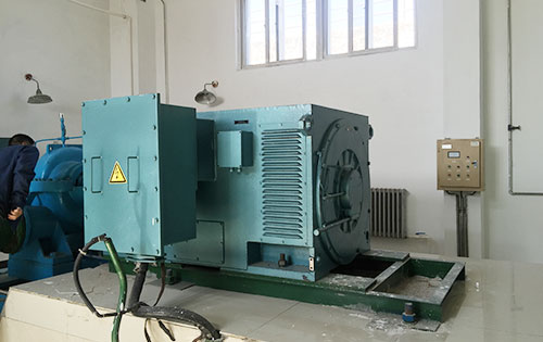 惠城某水电站工程主水泵使用我公司高压电机